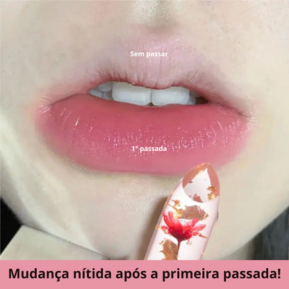 Bálsamo Labial - Hidratação e Cor - Kit com 6